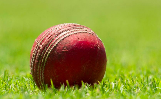 Cricket Committee recommends prohibition of saliva to shine the ball