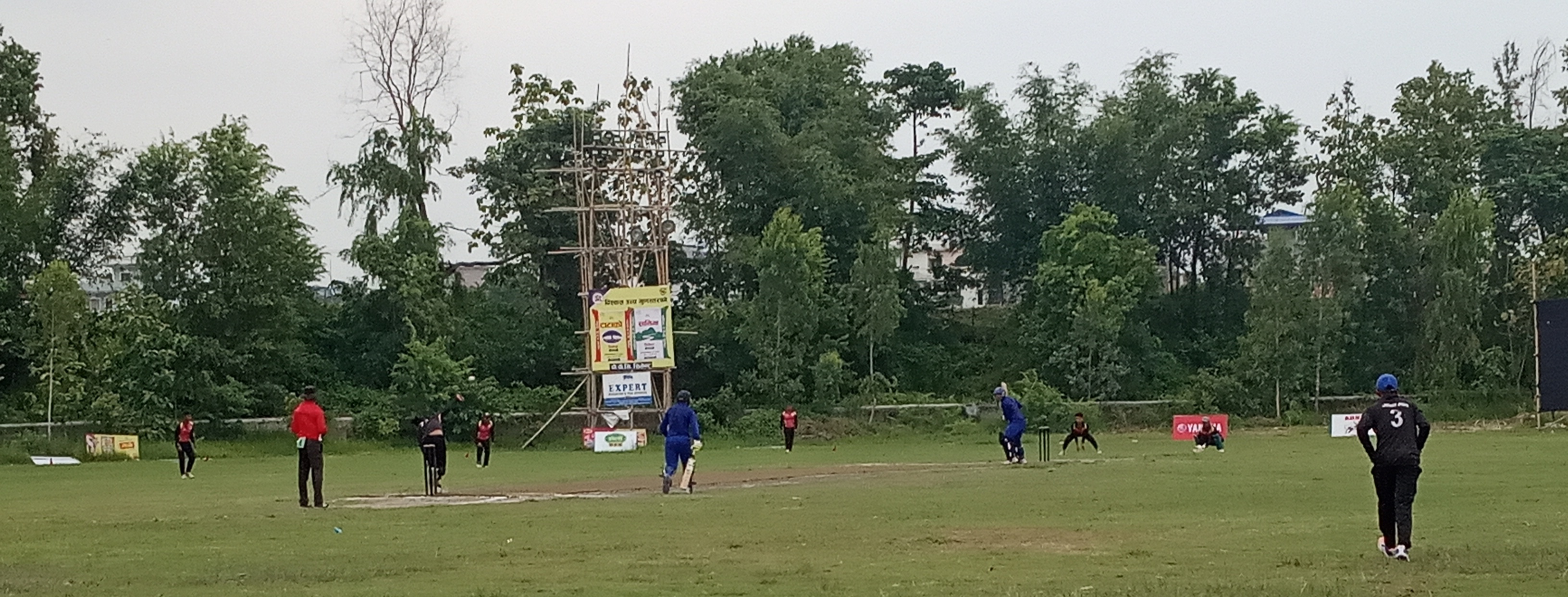 Province 1 Cricket : Jhapa beat Sunsari by 2 runs
